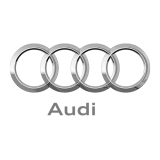 Audi Logo Saturate