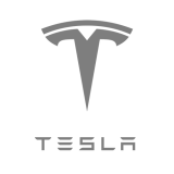 Tesla Logo Saturate